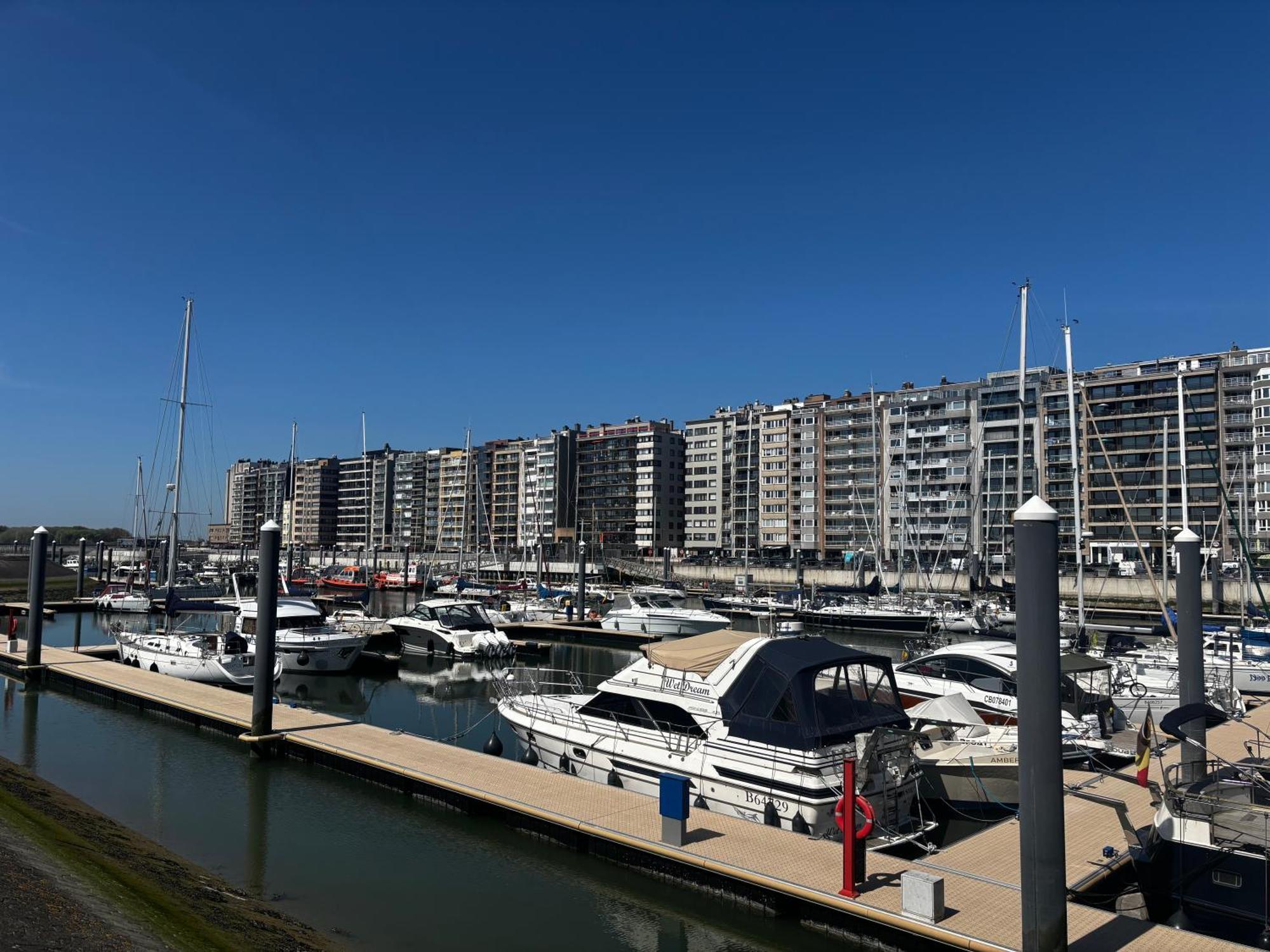 Appartement Guillaume 布兰肯贝赫 外观 照片